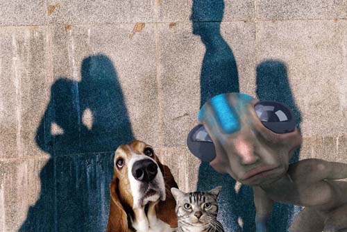 dog, cat, alien and ghosts image