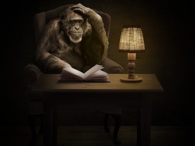 chimpanzee-reading booknext to lamp